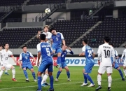 开云体育直播-关于布里斯托城客场战平富勒姆，努力保级的信息