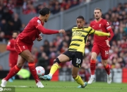 开云体育-利物浦客场惨败沃特福德，领先被追近