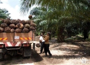 开云APP-关于马来西亚队碾压印度队，戴资颖状态火热的信息