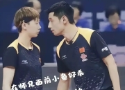 开云体育官网-波兰乒乓球队翻盘比利时乒乓球队，张继科送出助攻的简单介绍