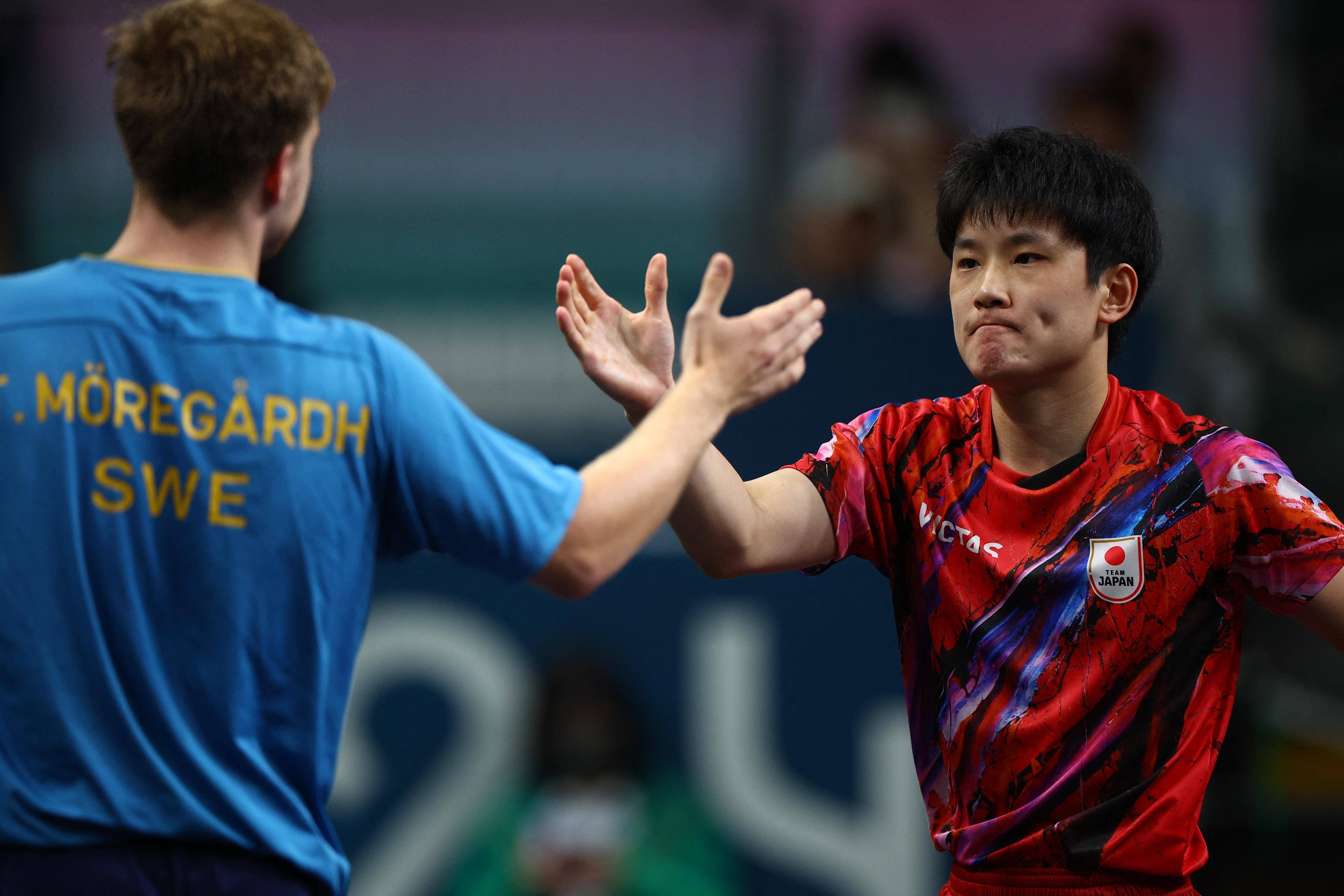 包含韩国队力克瑞典队，张本智和高光表现的词条