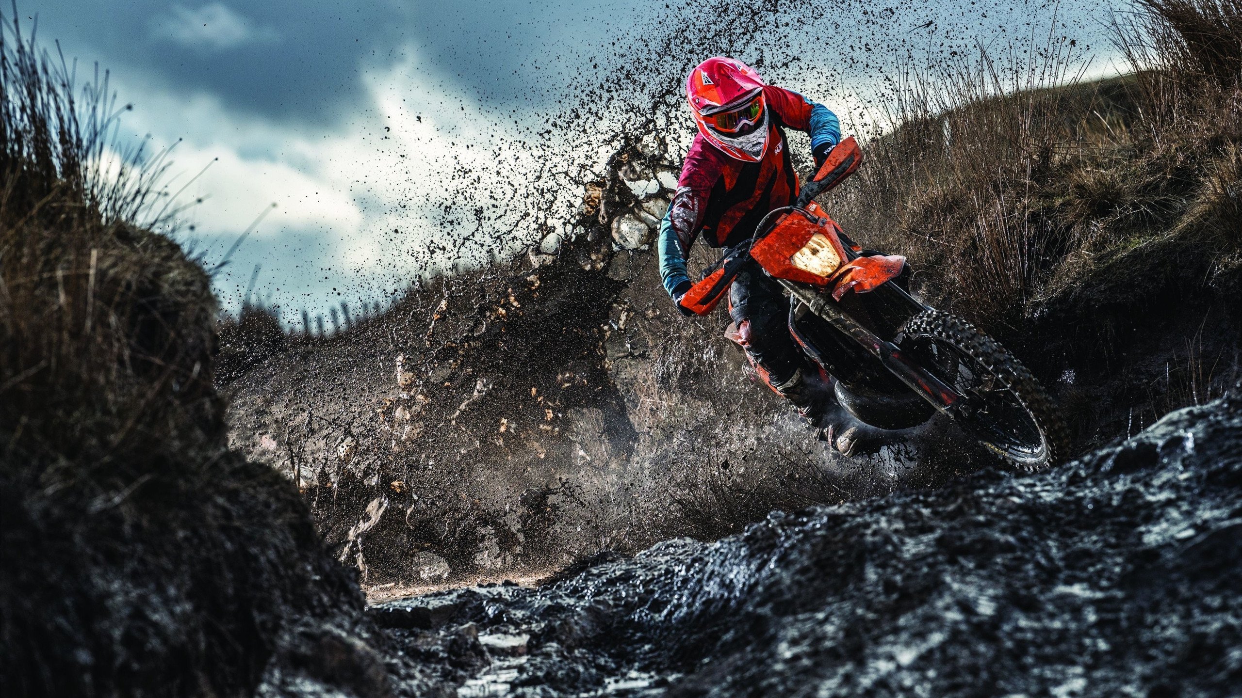 字母哥展翅遮天蔽日，老鹰主场惨遭雄鹿国王碾压